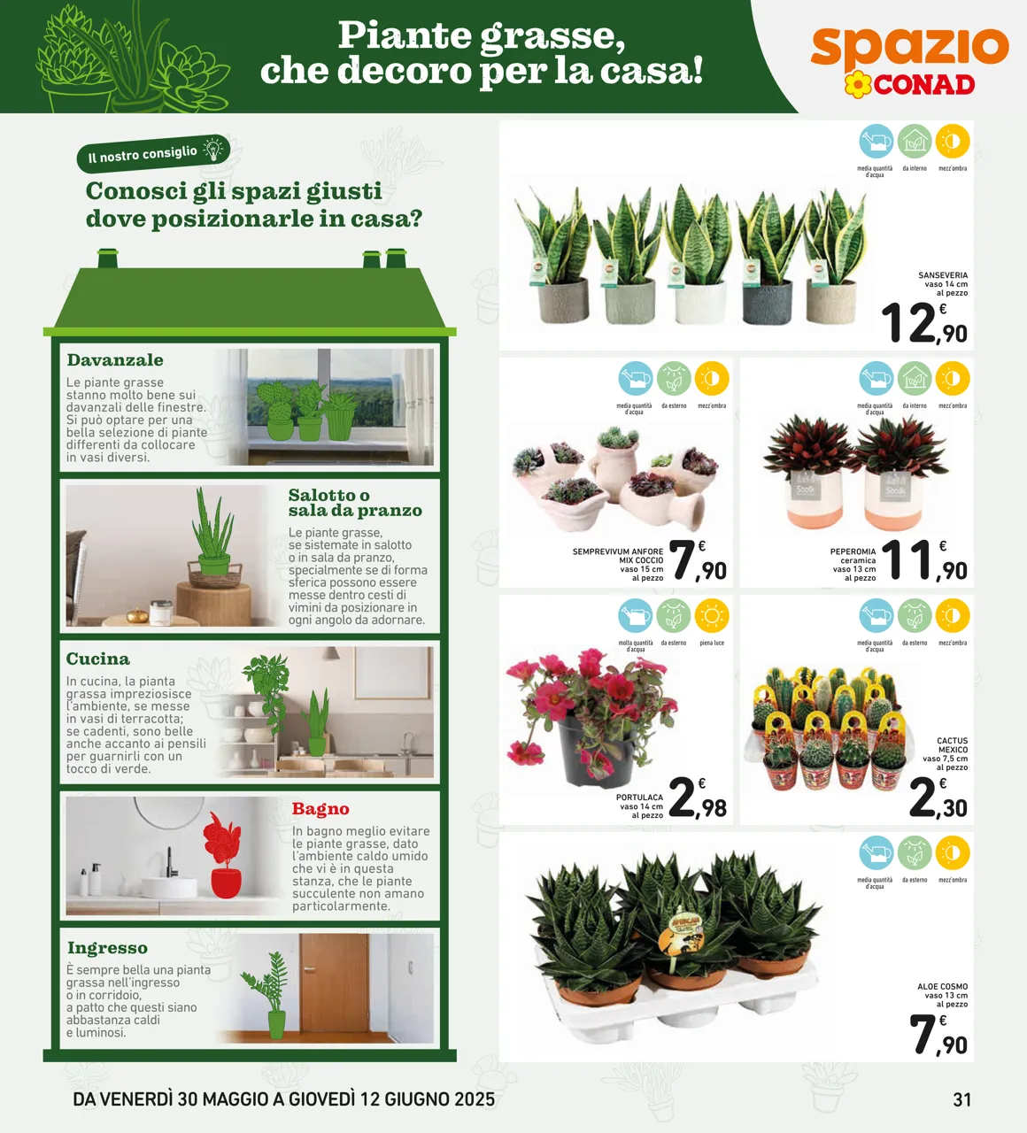 Pagina 31