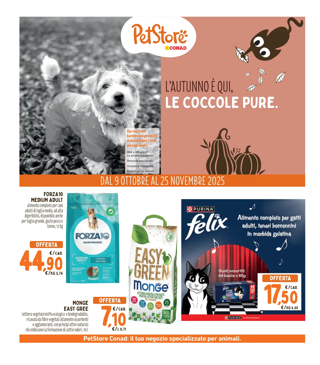Pagina 21