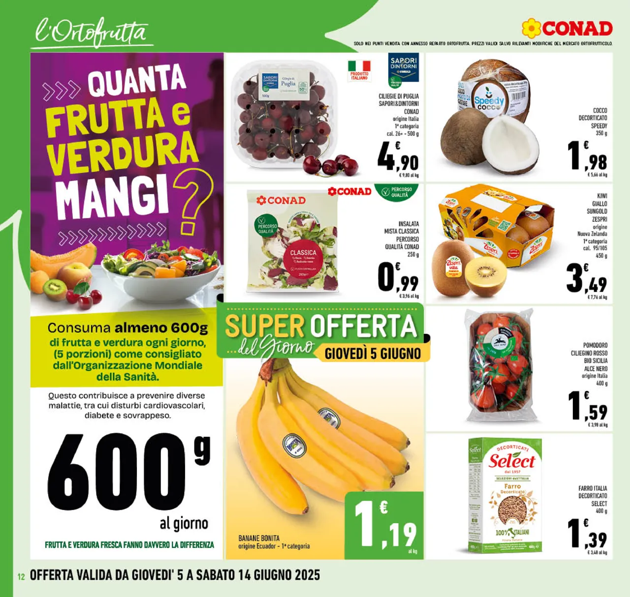 Pagina 12