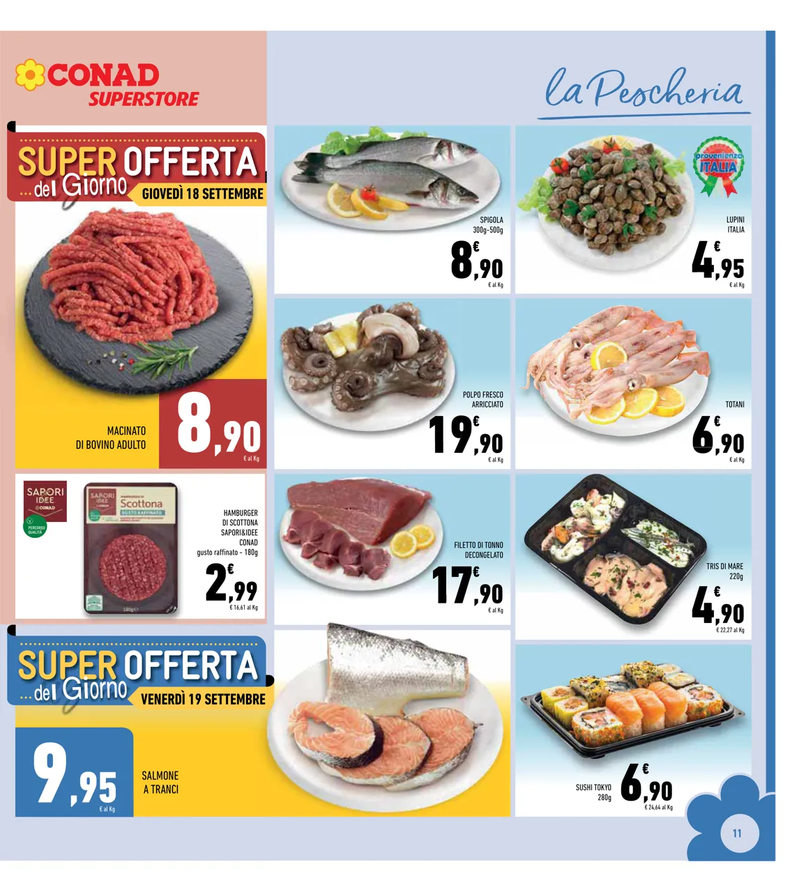 Pagina 11