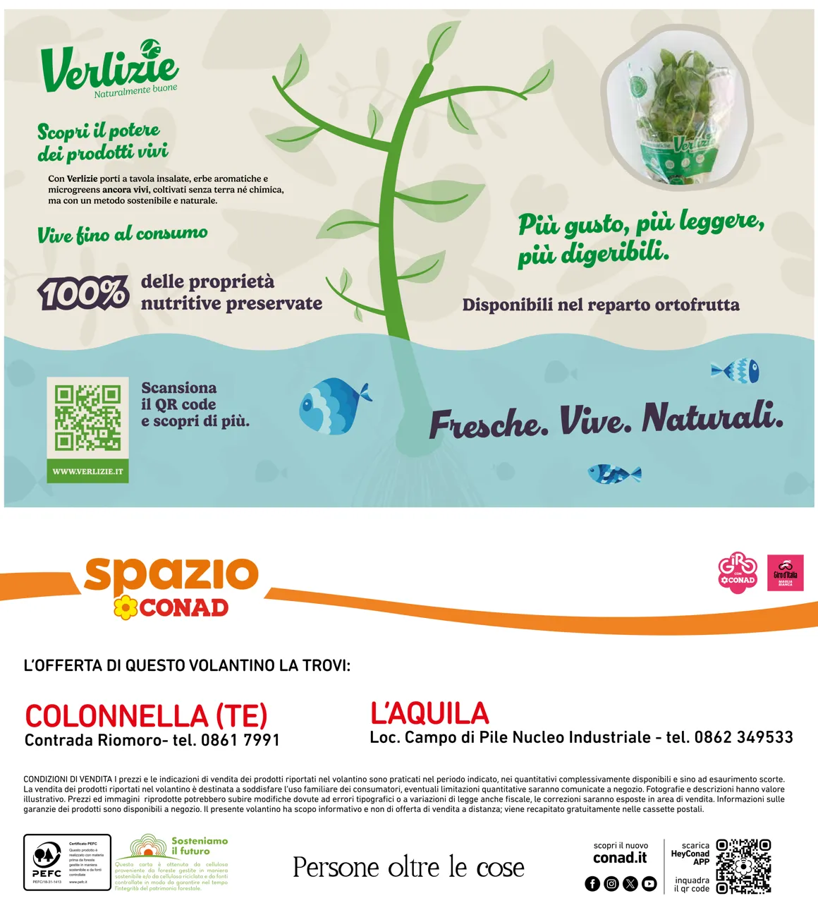 Pagina 32