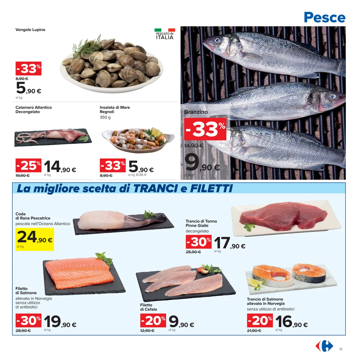 Pagina 11