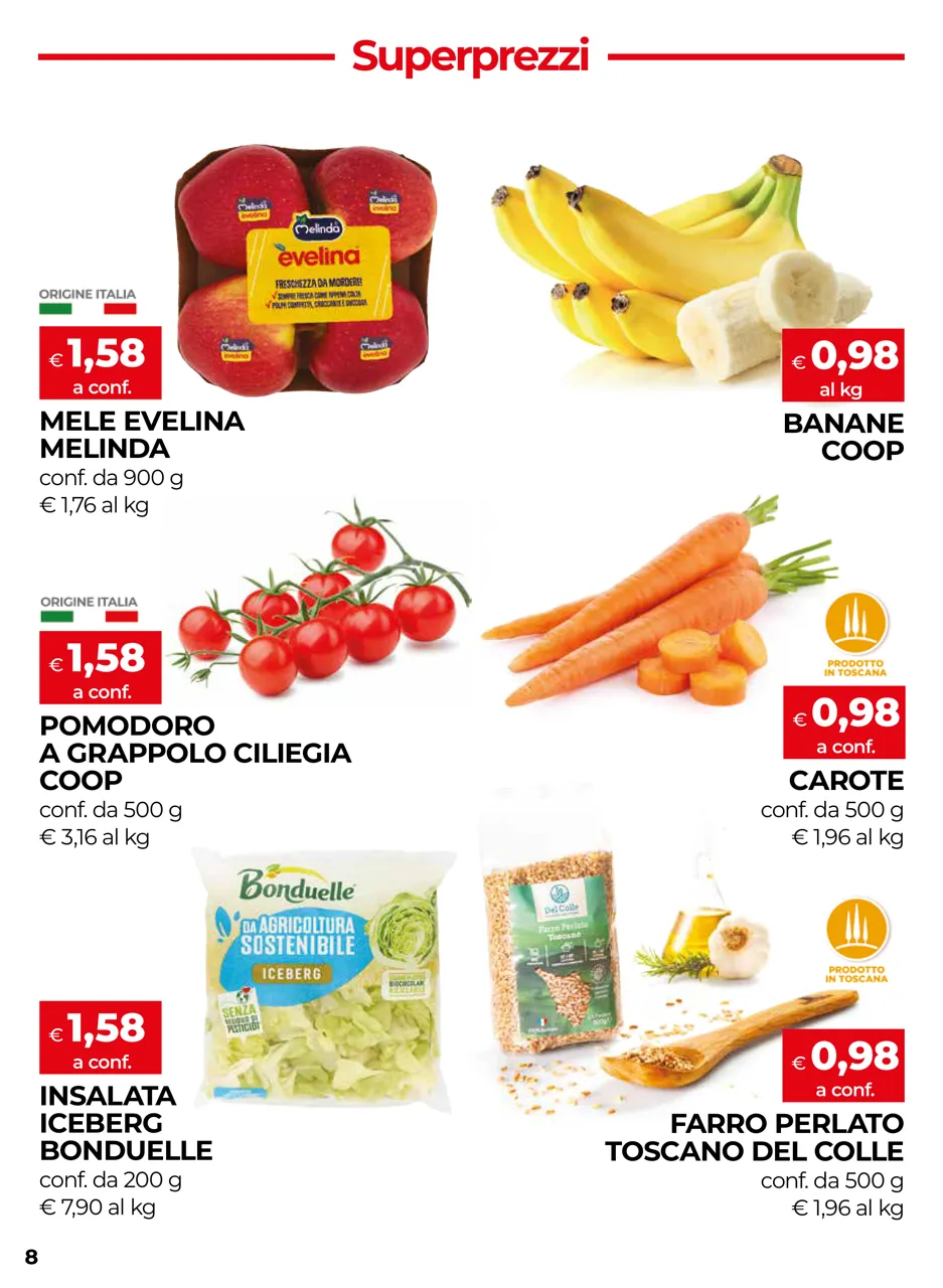 Pagina 8