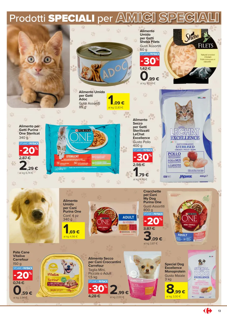 Pagina 13