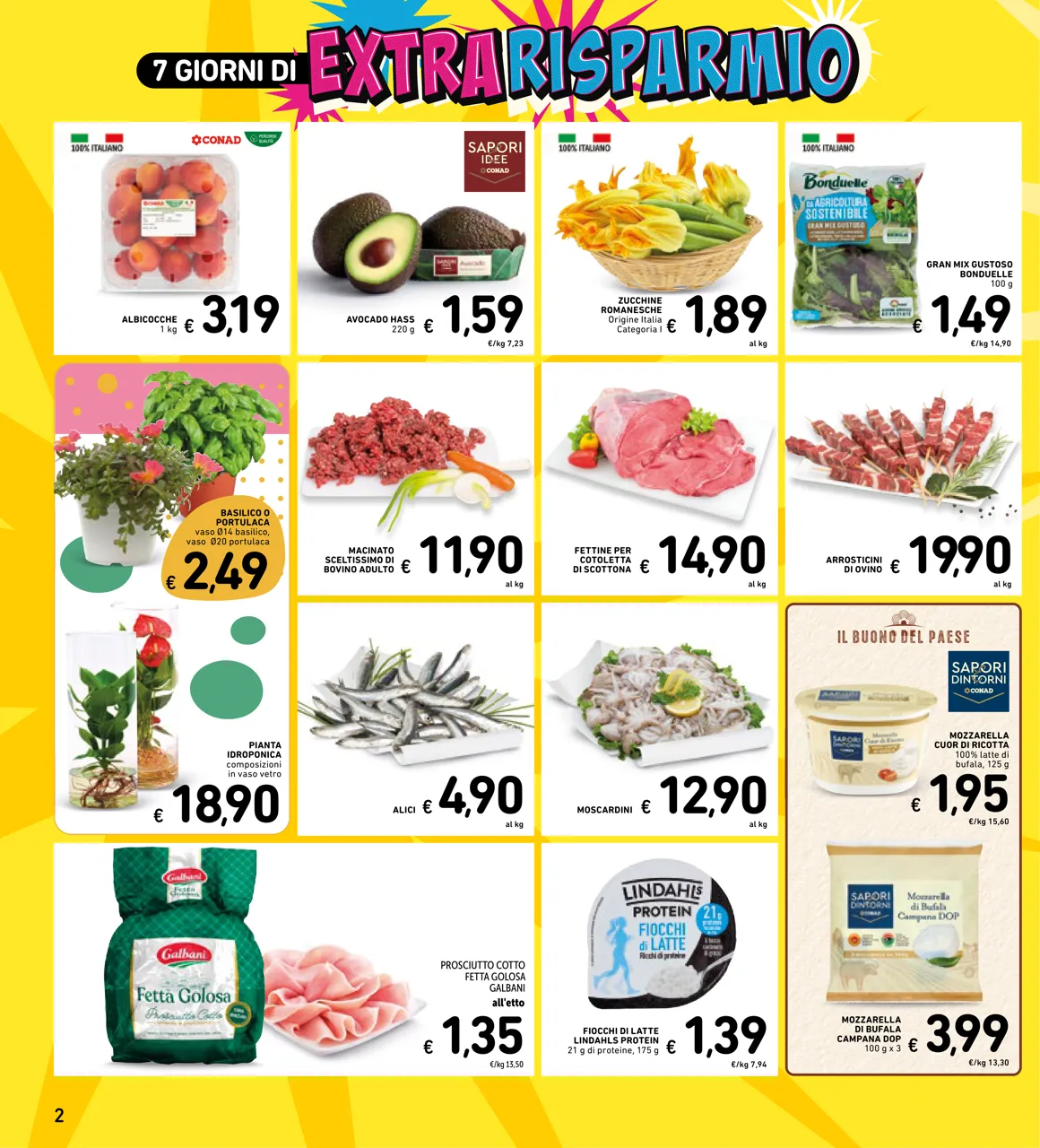 Pagina 29