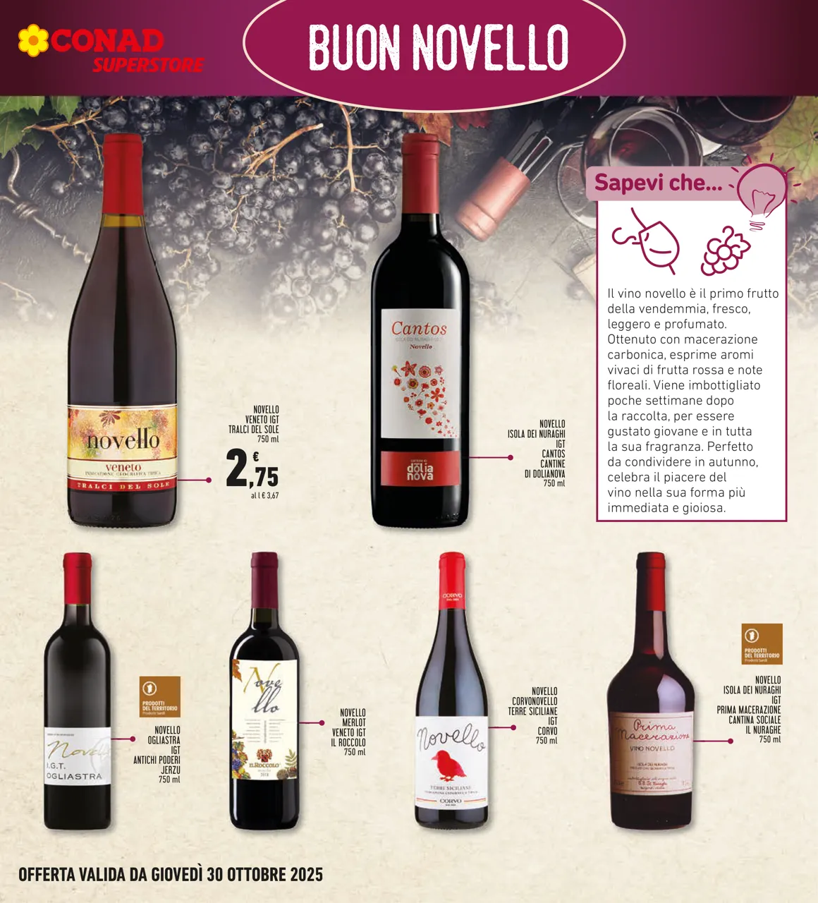 Pagina 23