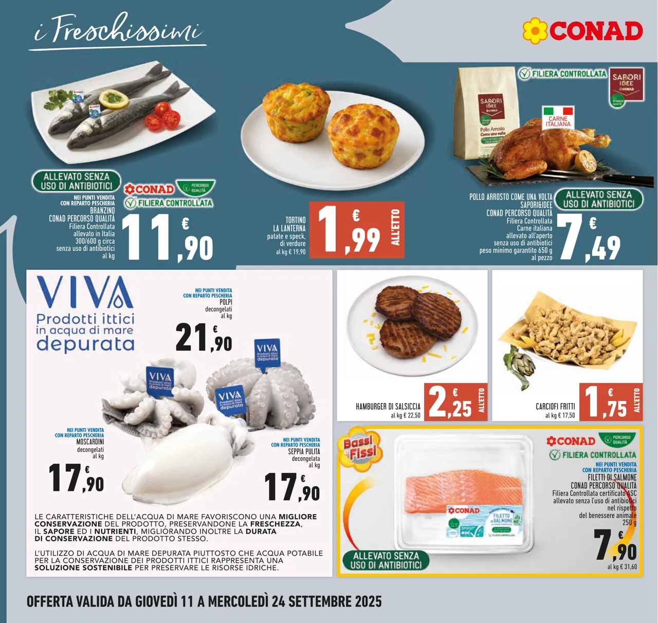 Pagina 8