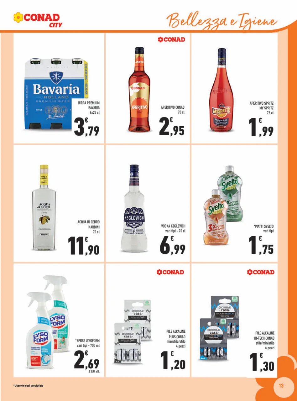Pagina 13