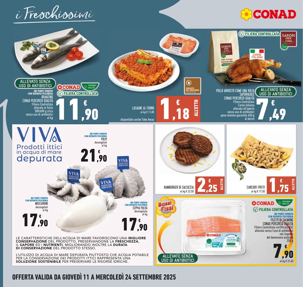 Pagina 8