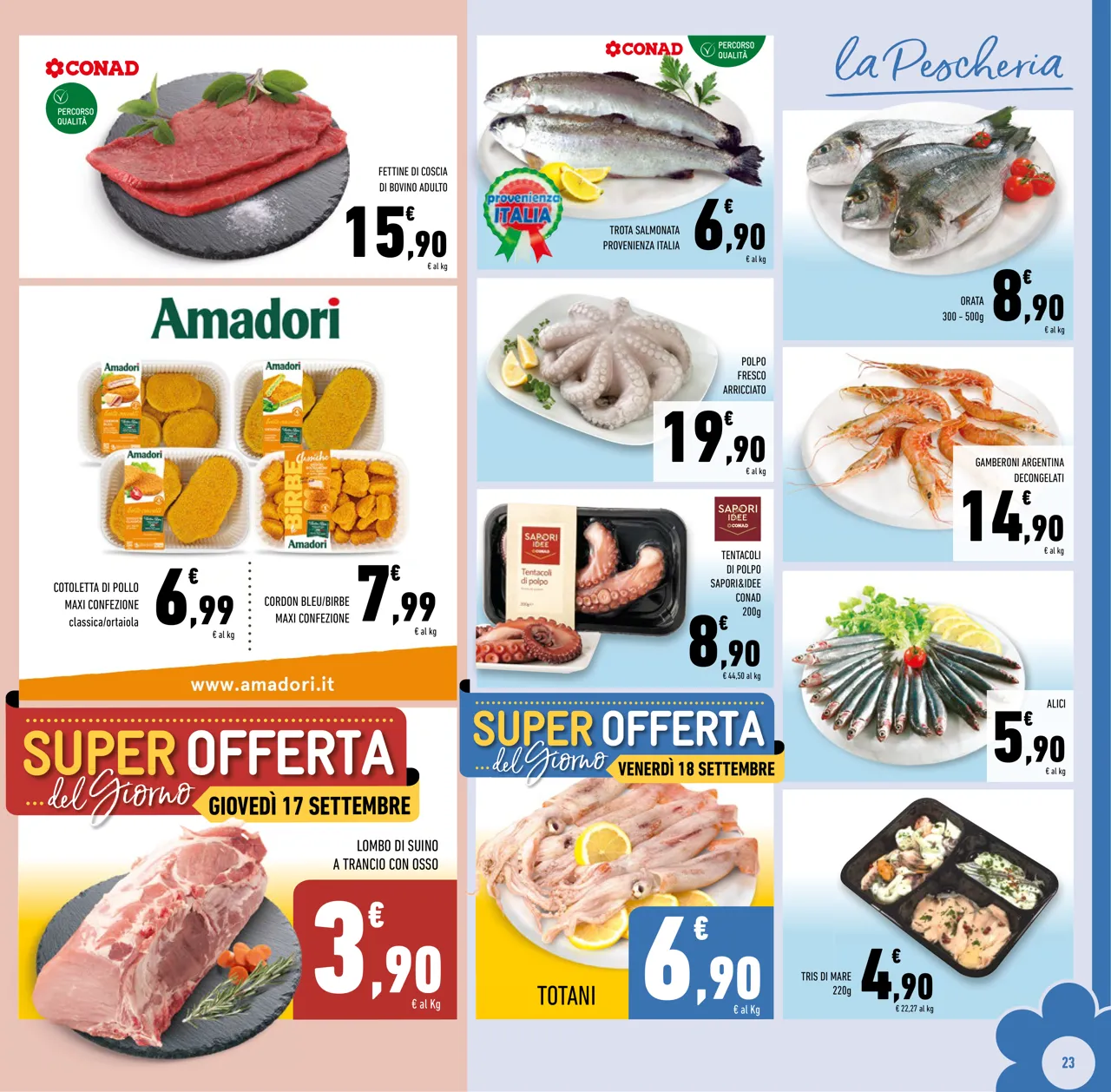 Pagina 23