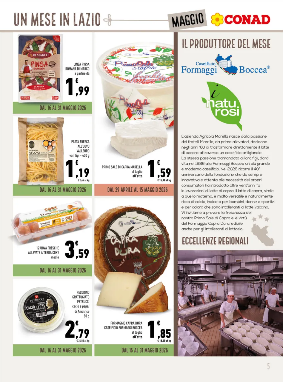 Pagina 5