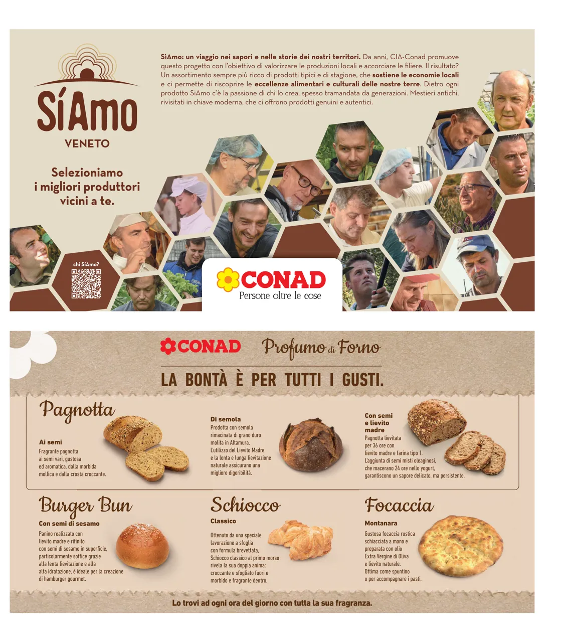 Pagina 31