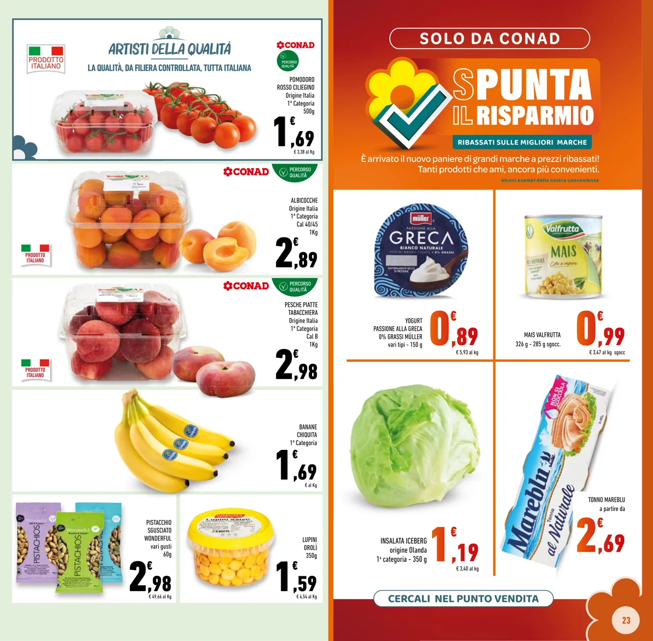 Pagina 23