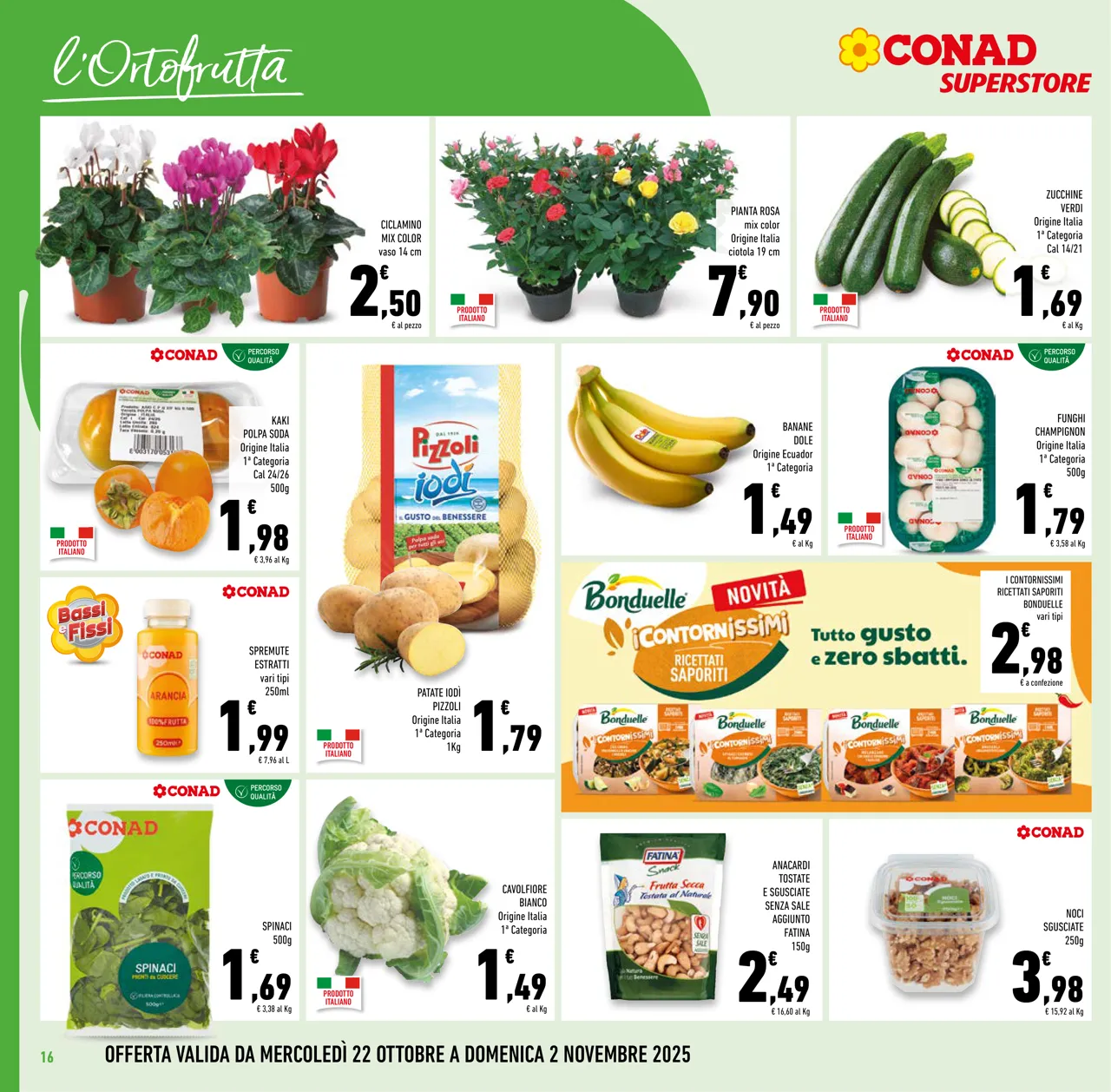 Pagina 16
