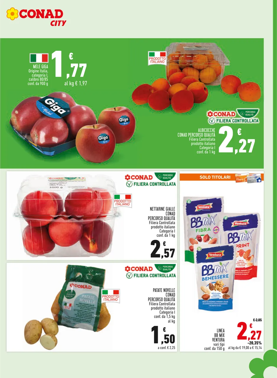 Pagina 7