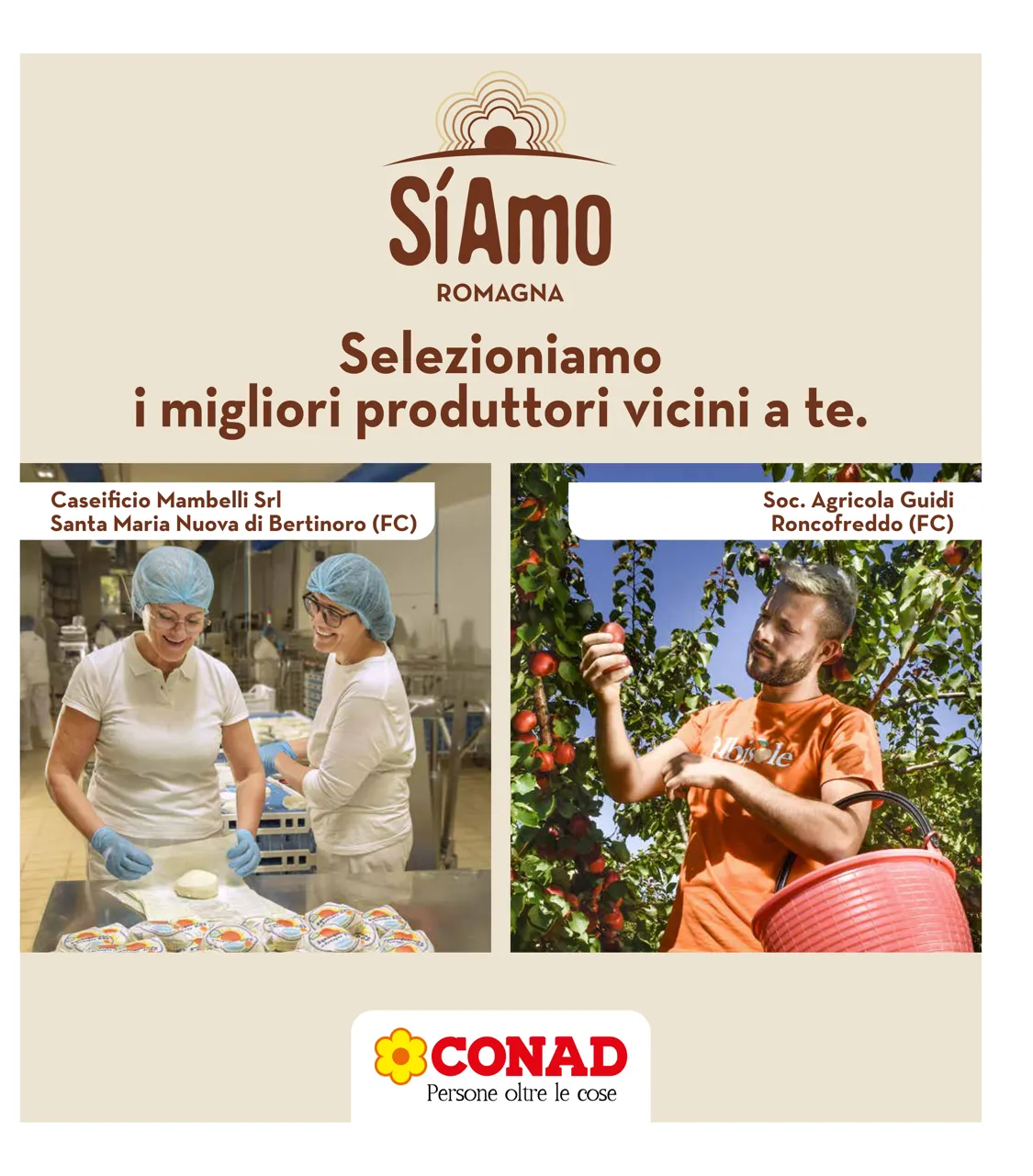 Pagina 33
