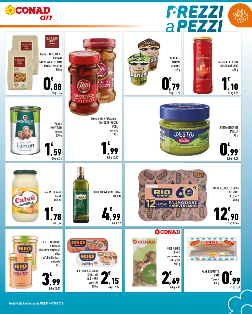 Pagina 11