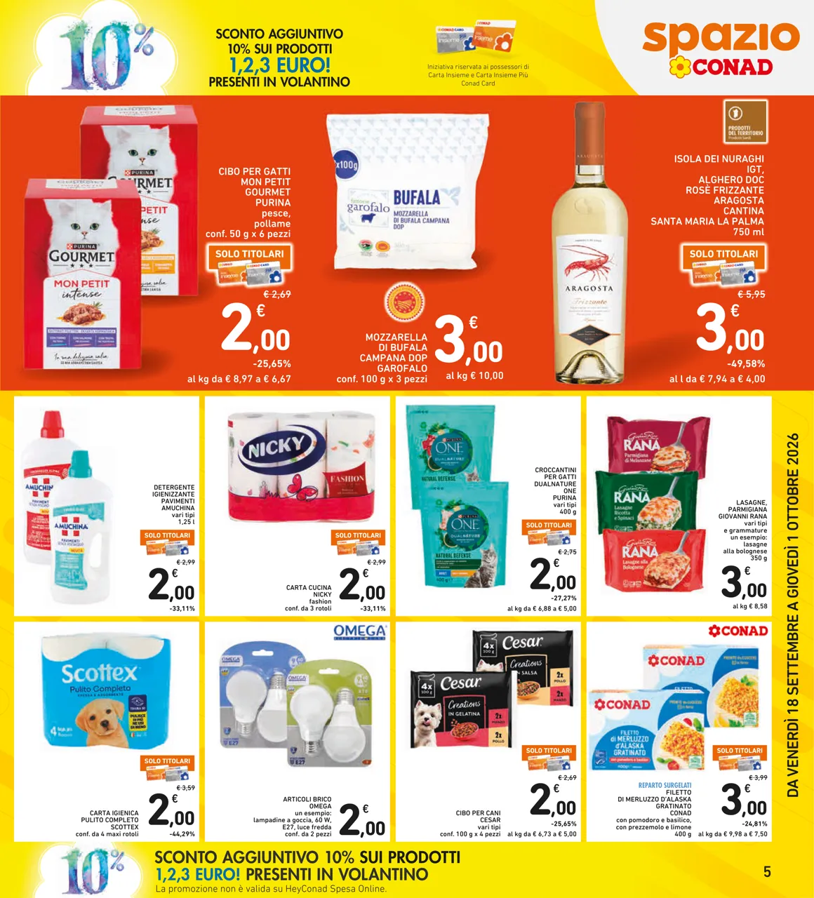 Pagina 5