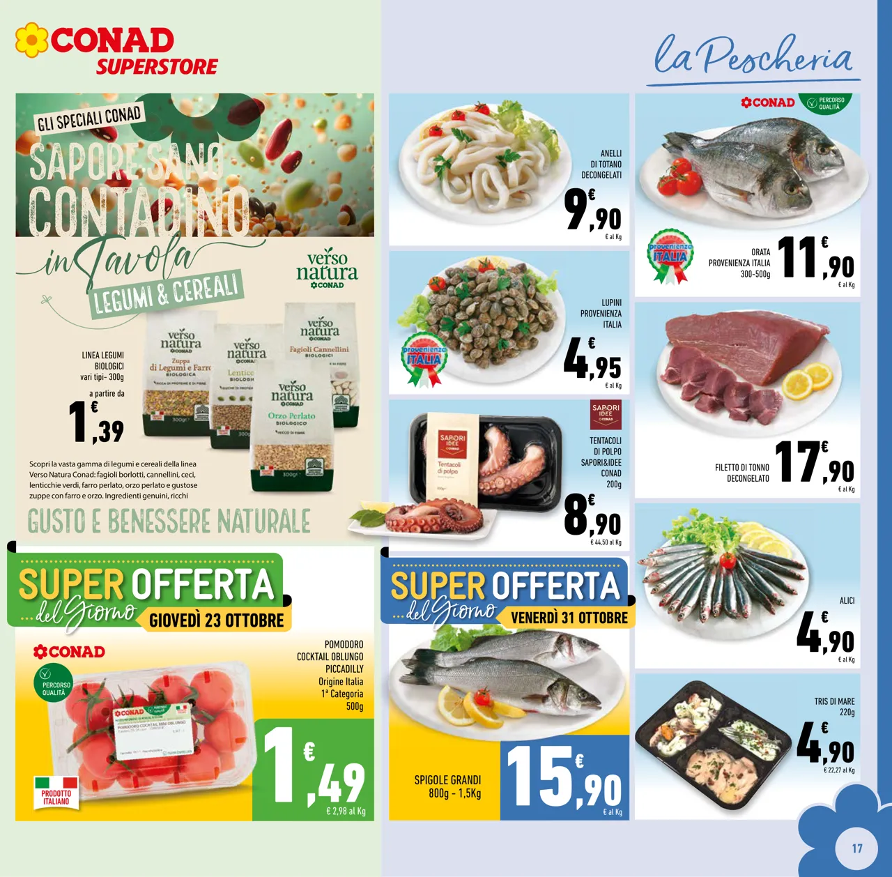 Pagina 17
