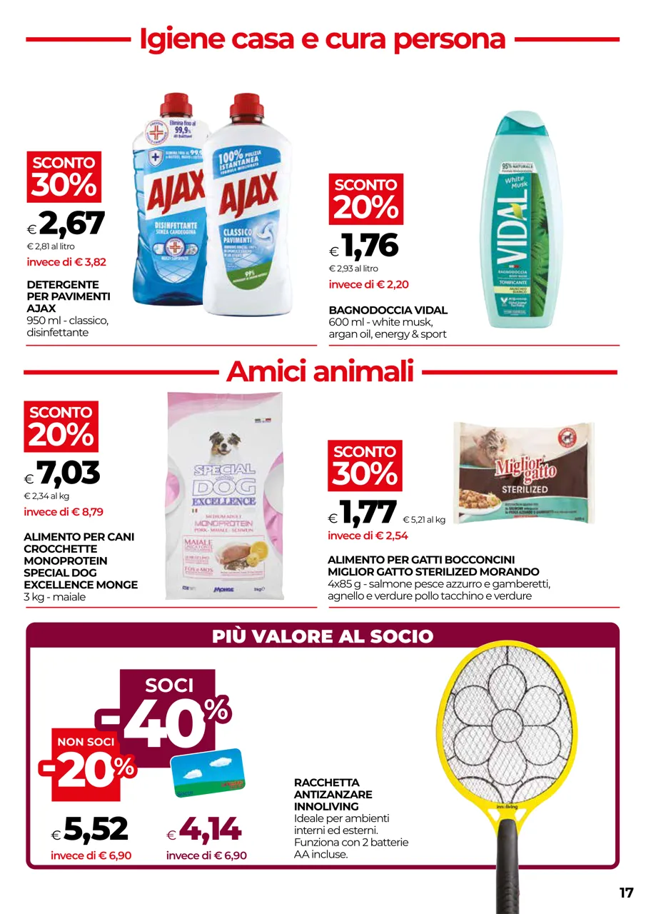 Pagina 17