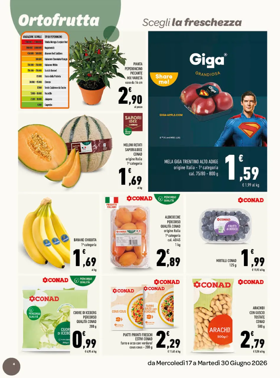 Pagina 4
