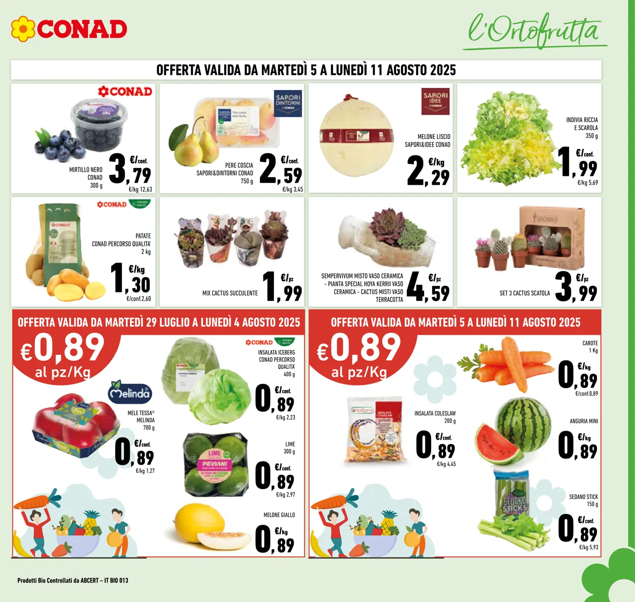 Pagina 7