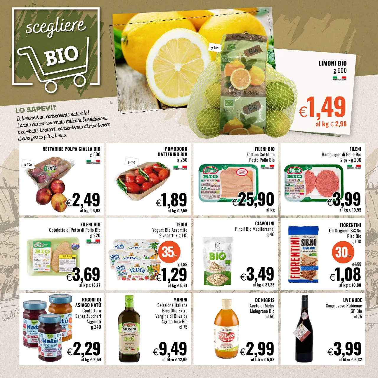 Pagina 12