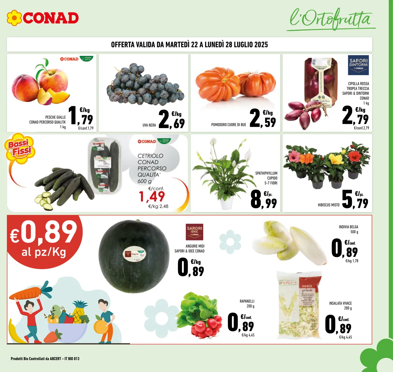 Pagina 3