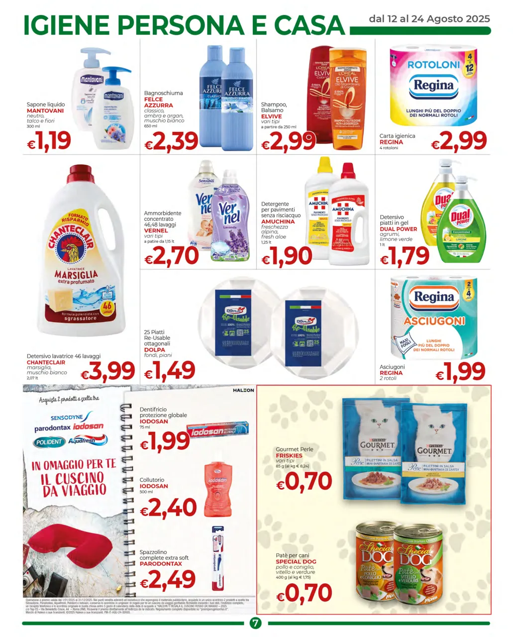 Pagina 7