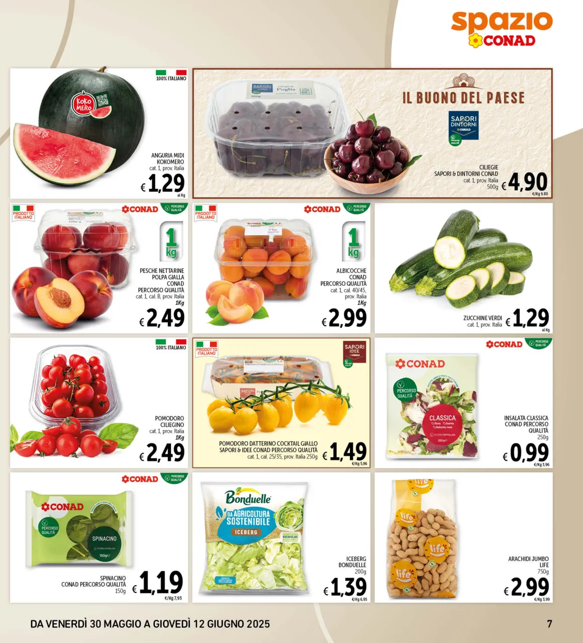 Pagina 7