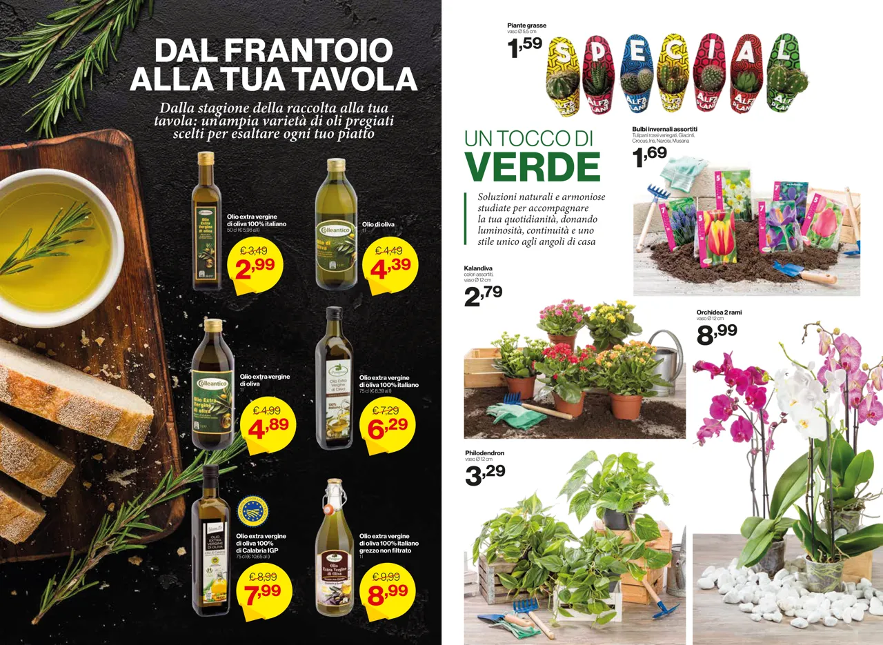 Pagina 7