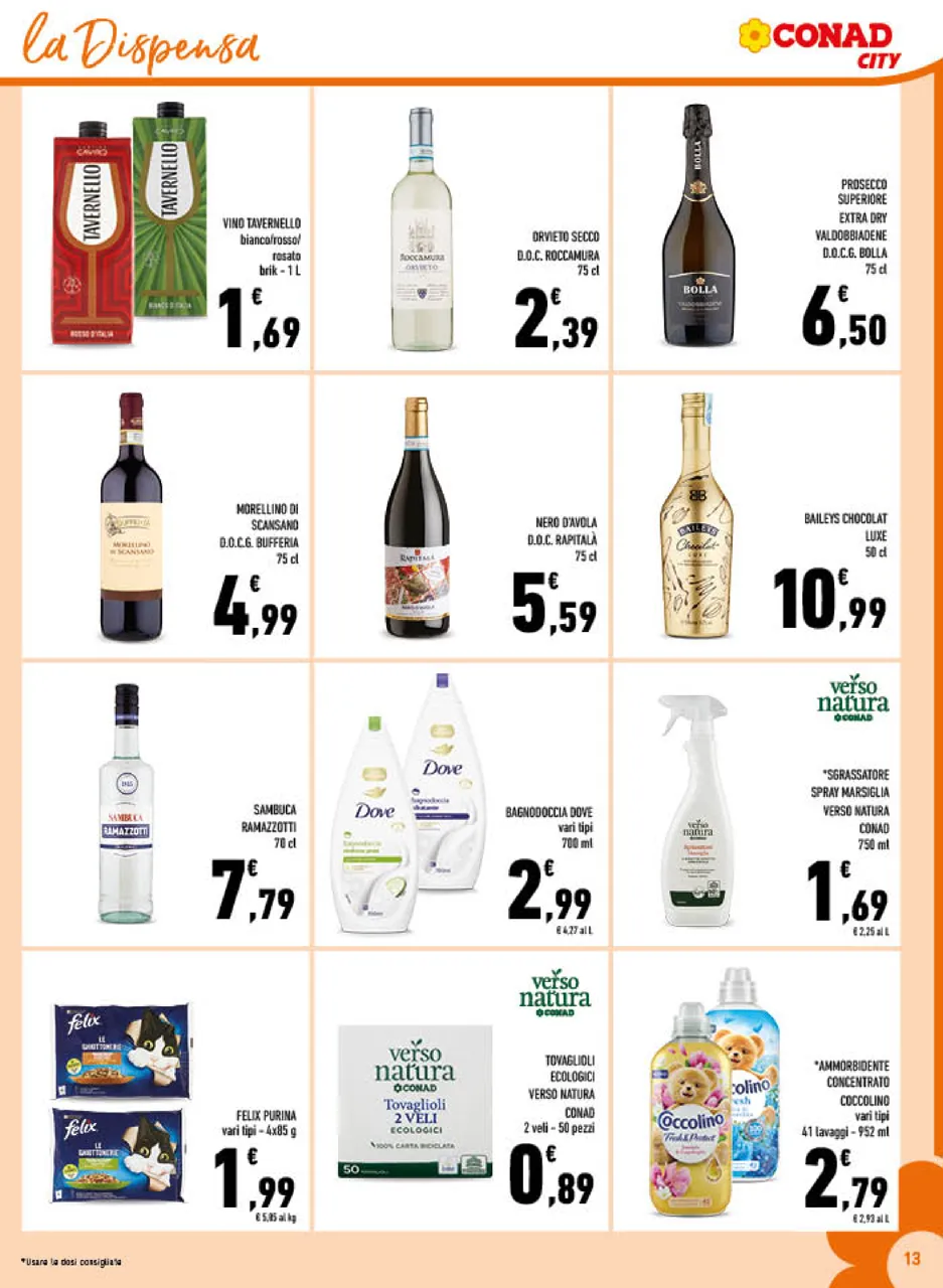 Pagina 13