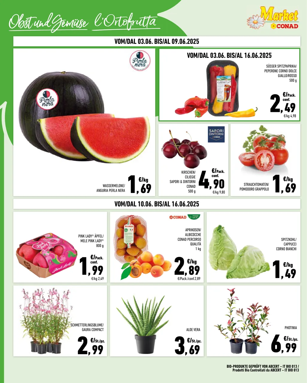 Pagina 2