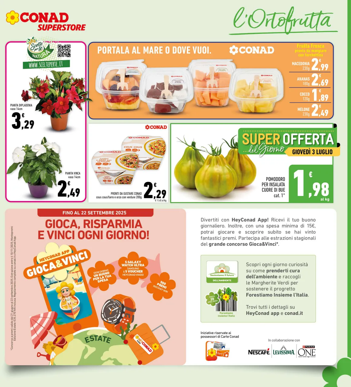 Pagina 7