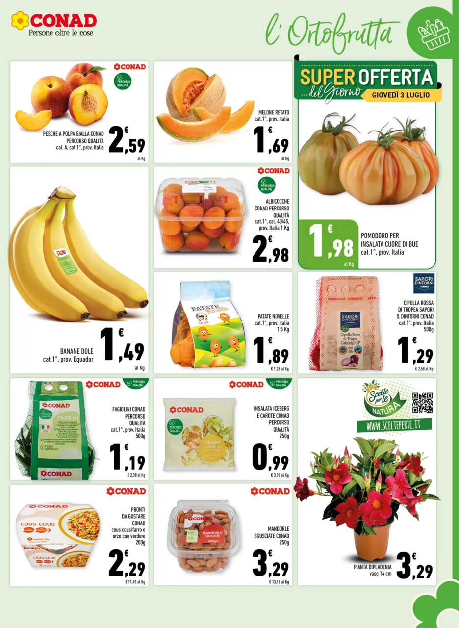 Pagina 5
