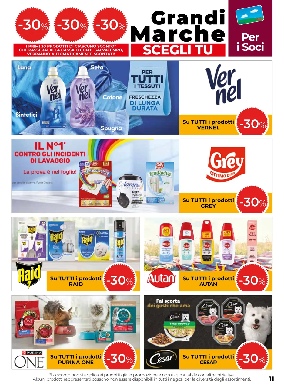Pagina 11