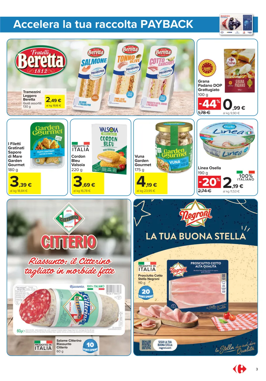 Pagina 3