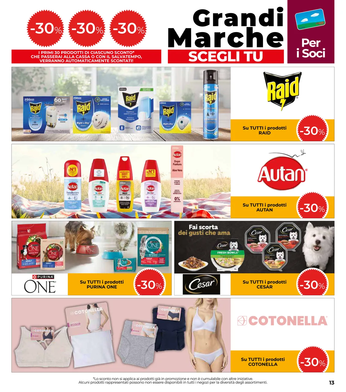 Pagina 13