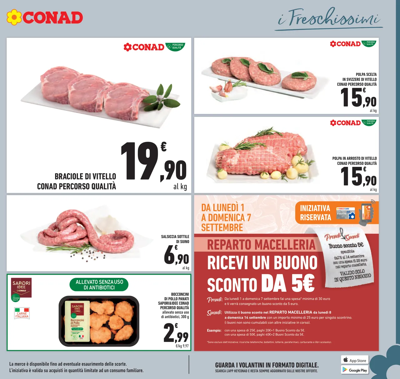 Pagina 11