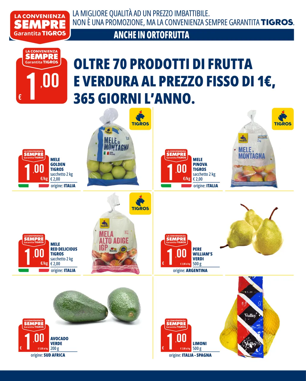 Pagina 6
