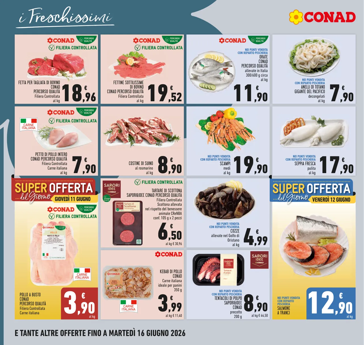 Pagina 8