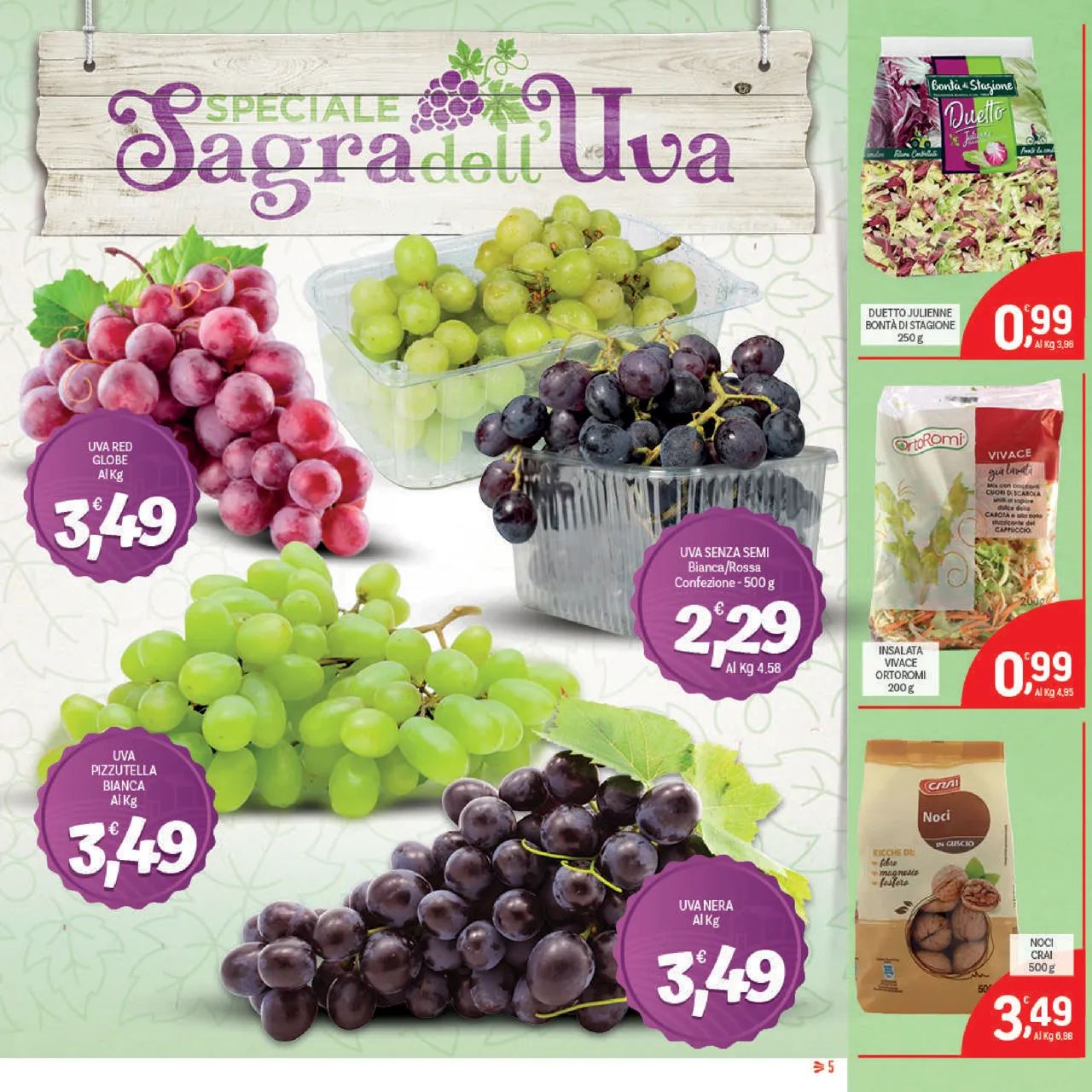 Pagina 5