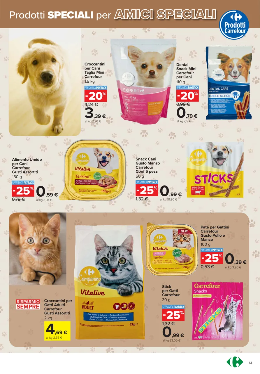 Pagina 13