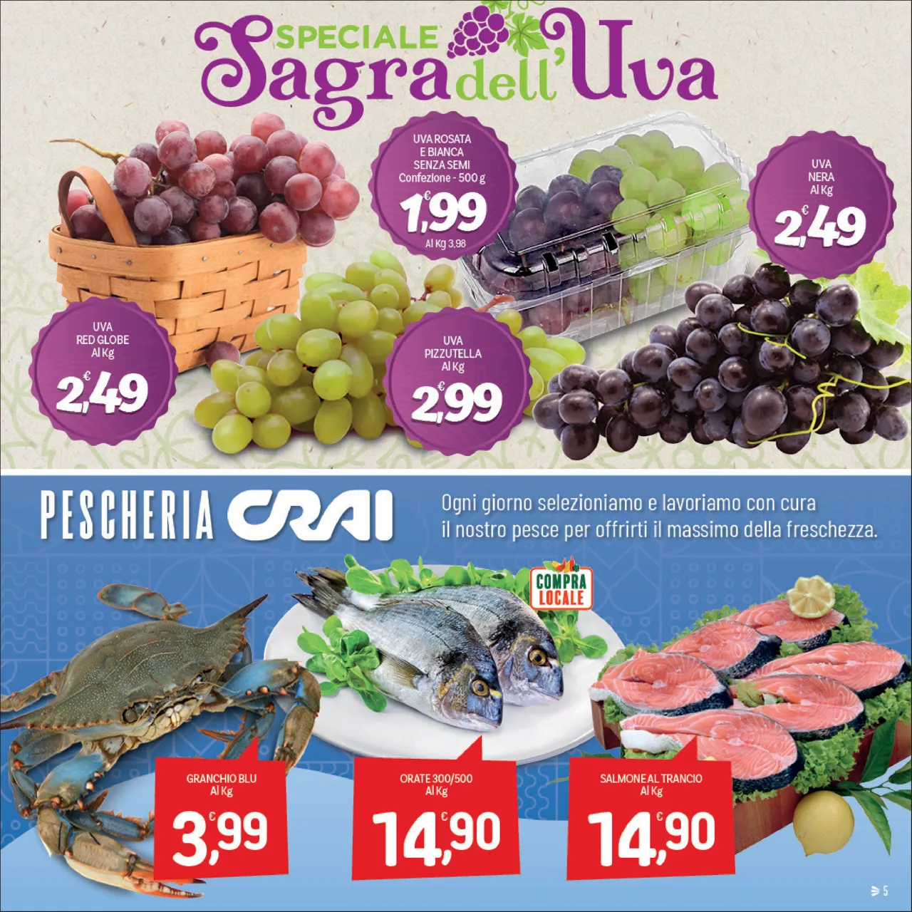 Pagina 5