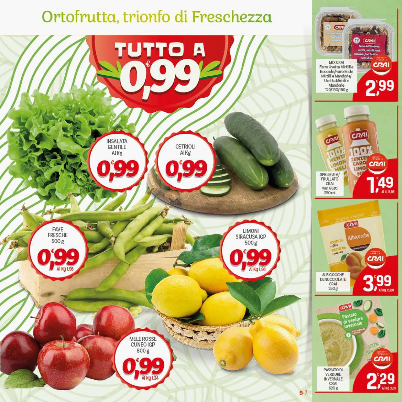 Pagina 7