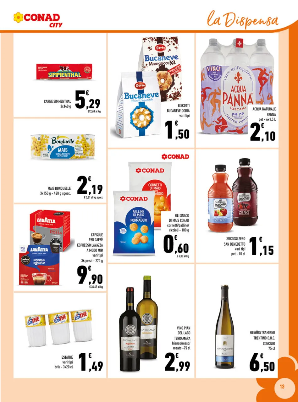 Pagina 13