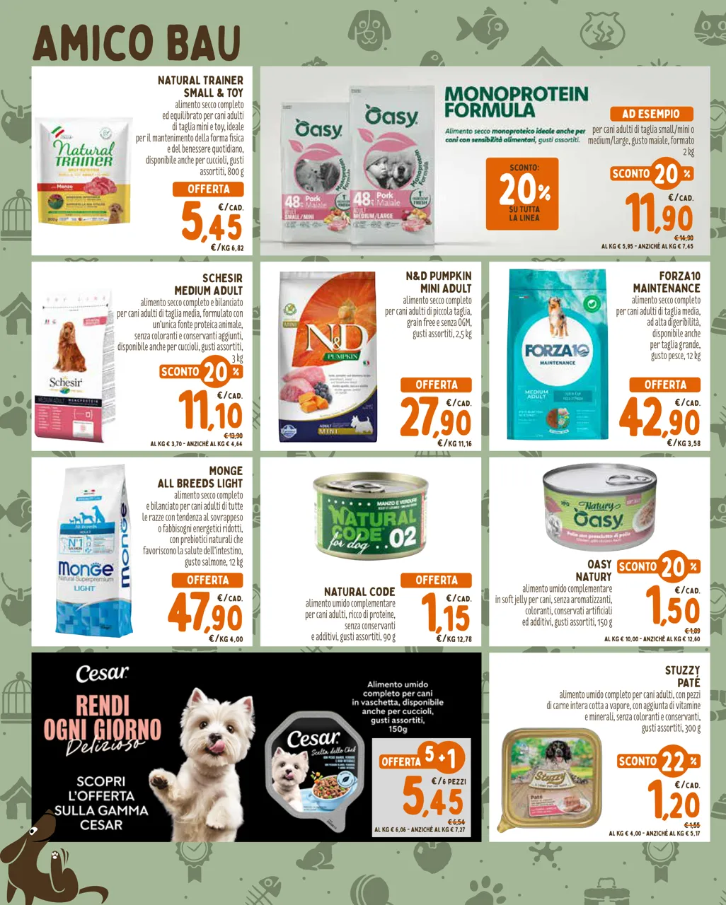 Pagina 2
