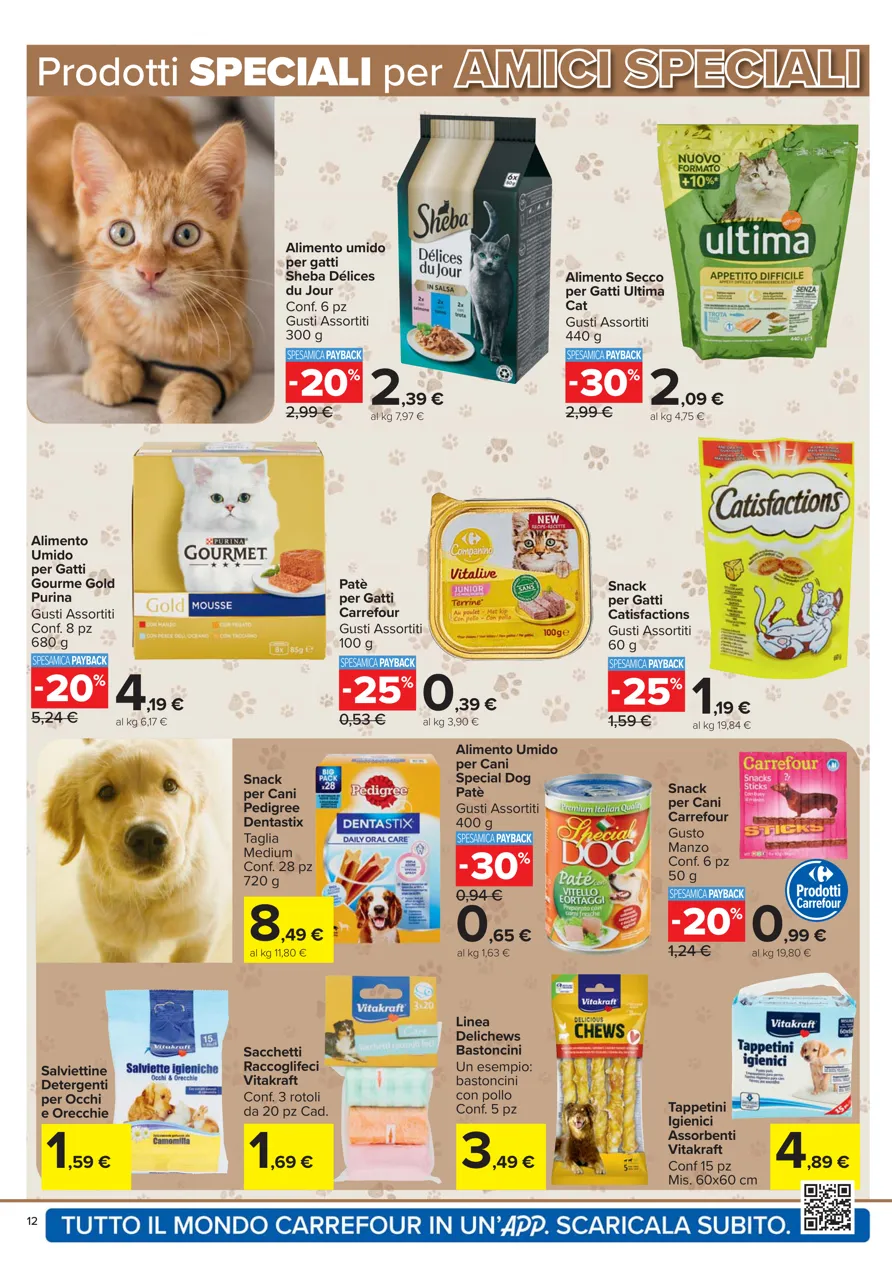 Pagina 12