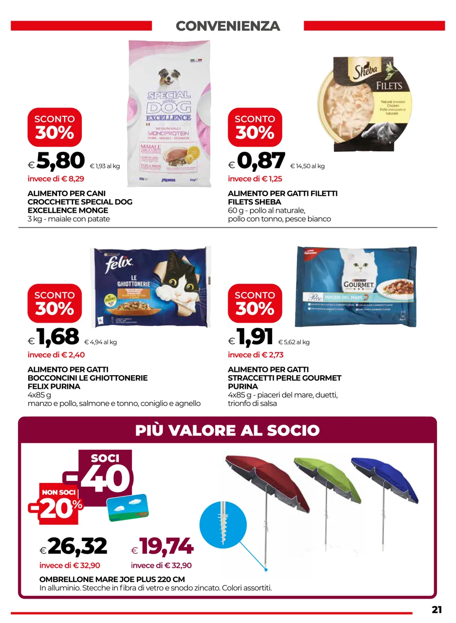 Pagina 21