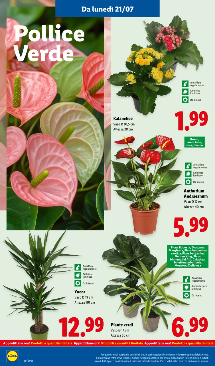 Pagina 30